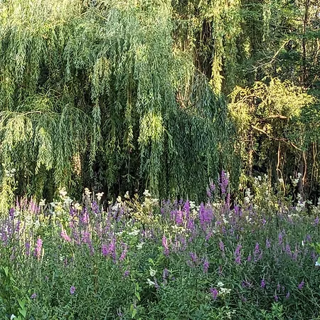 D'hôtes La Grenade Bleue Alojamento de Acomodação e Pequeno-almoço 4*