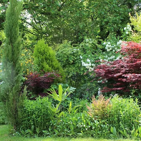 D'hôtes La Grenade Bleue Pons