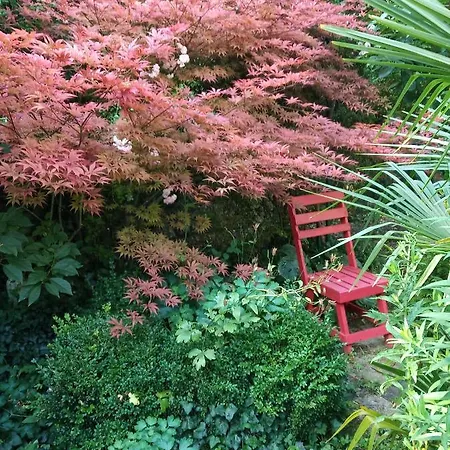 Alojamento de Acomodação e Pequeno-almoço D'hôtes La Grenade Bleue 4*