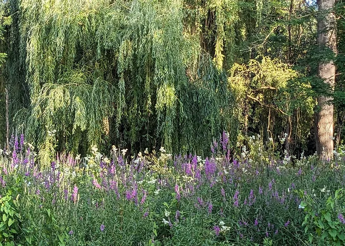 D'hotes La Grenade Bleue B&B 4*