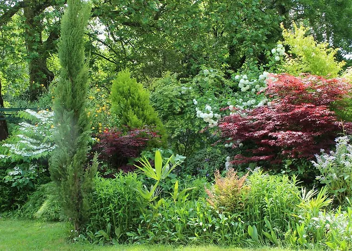 D'hôtes La Grenade Bleue Pons