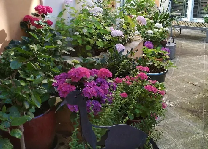 D'hôtes La Grenade Bleue Couette-café Pons