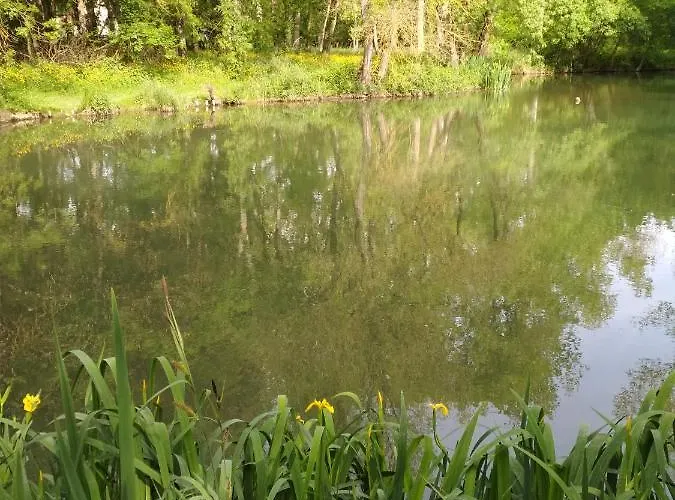 D'hotes La Grenade Bleue 퐁